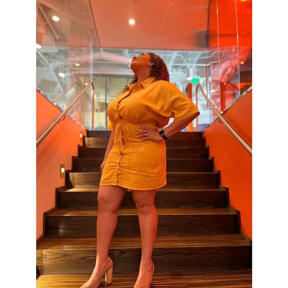 THAKOON x RTR Yellow Orange Collared Neckline Front Button Shirtdress Size 0 - Picture 10 of 12